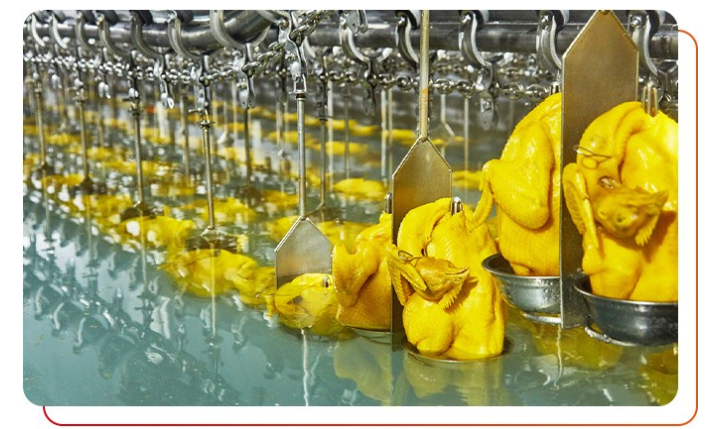 唐顺兴白切鸡食材供应商配送吗?